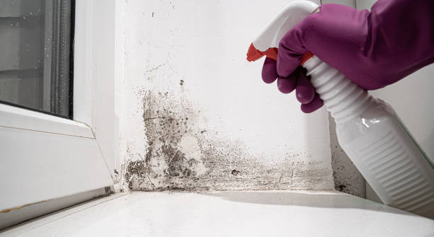 Trusted West Easton, PA Water damage restoration Experts